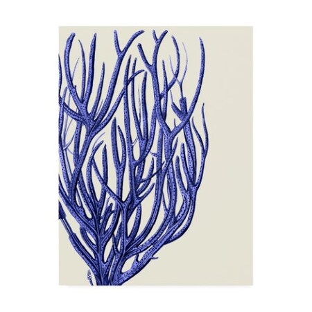 Fab Funky 'Blue Corals 2 C' Canvas Art,35x47